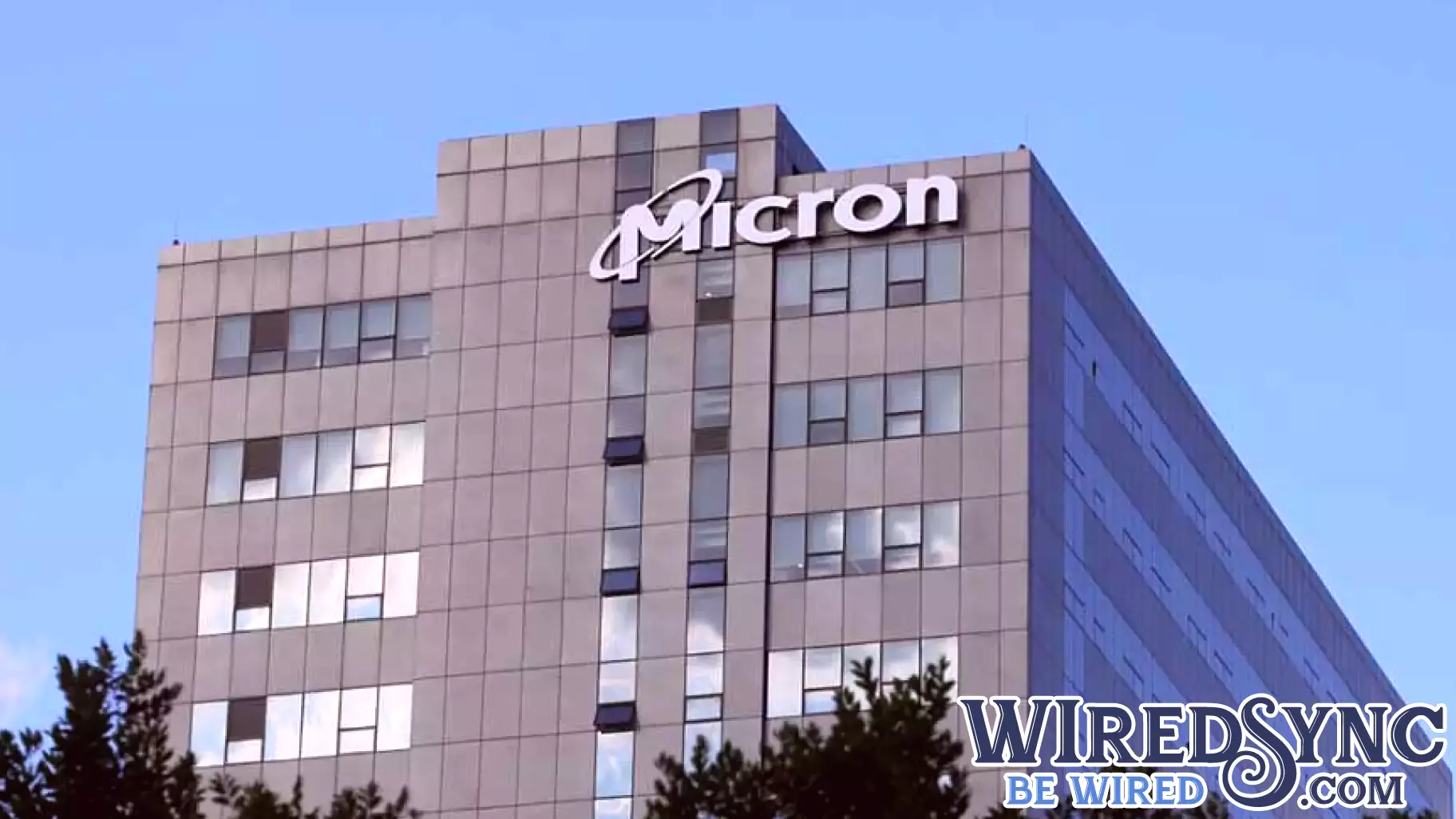 Micron's Stock Takes a Hit Following Disappointing Guidance