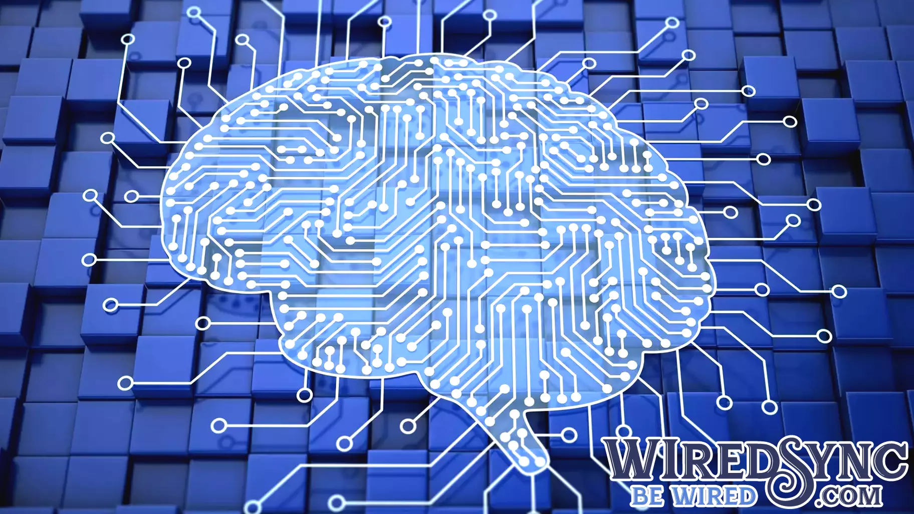 Study Challenges the Notion of